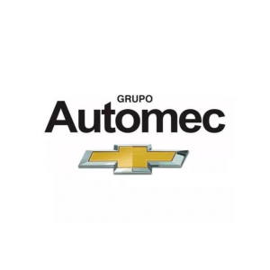Grupo-Automec